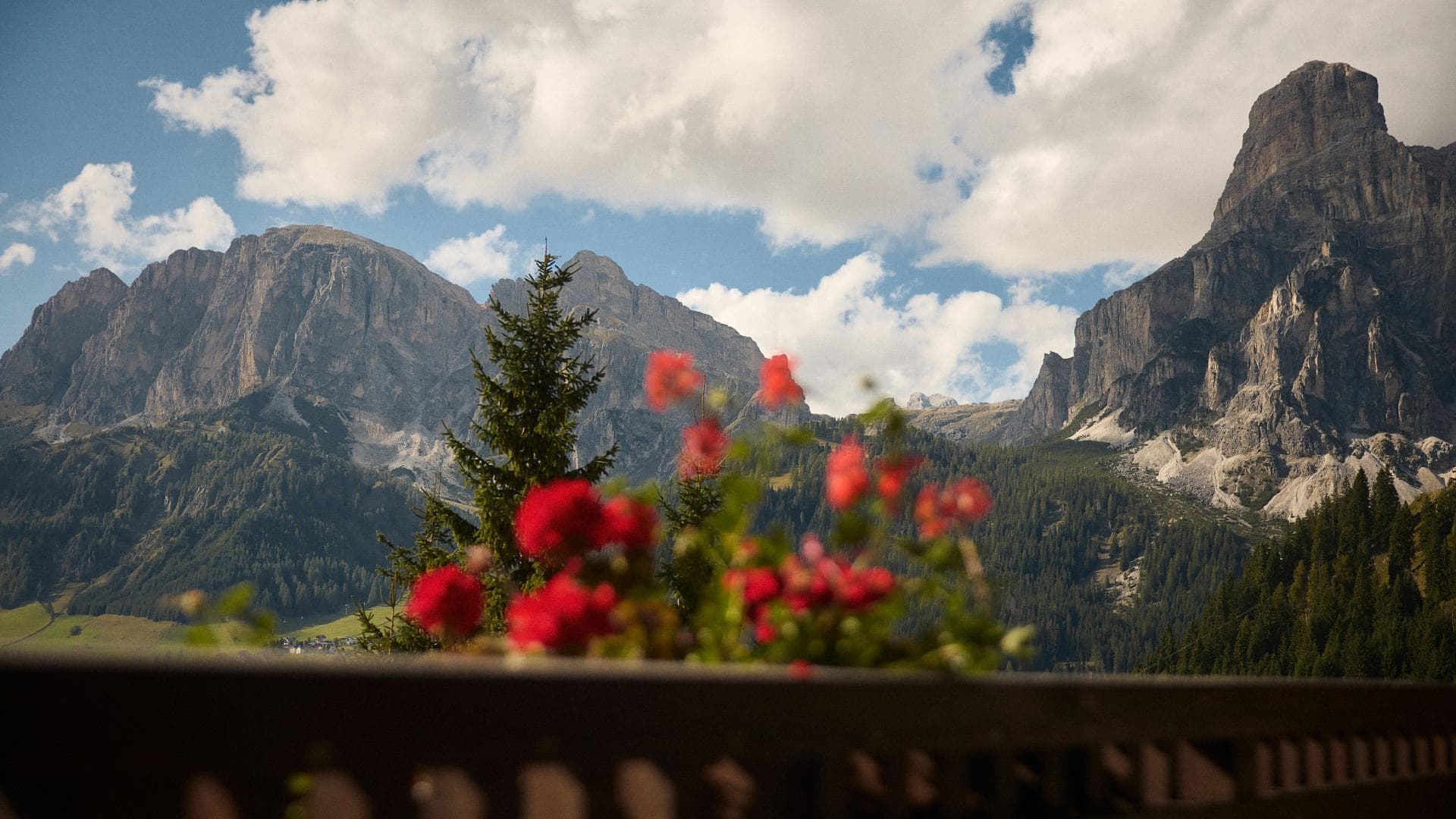 Panorama Suite - Bild 3